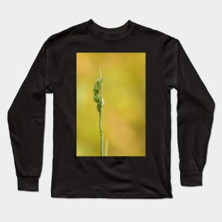 Simplicity in Nature Long Sleeve T-Shirt